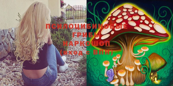 спиды Алексеевка