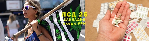 apvp Алексин