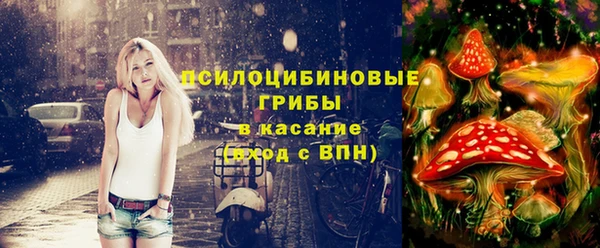 твердый Алзамай