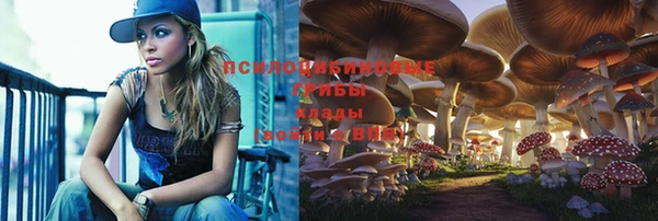 твердый Алзамай