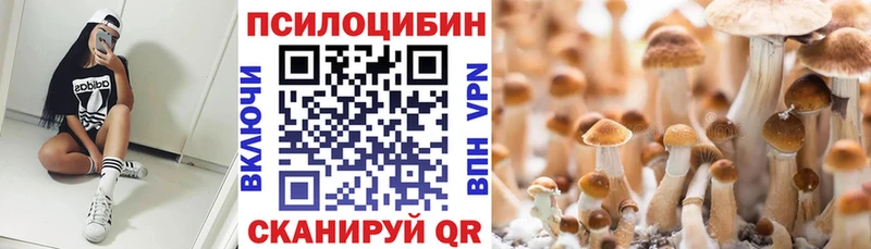 Галлюциногенные грибы Psilocybe  маркетплейс наркотические препараты  Спасск-Рязанский 